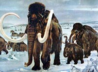 Esemplare di Mammut