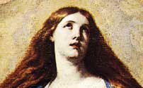 Immacolata concezione