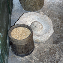 Macina