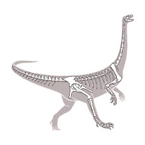 scheletro di un dinosauro