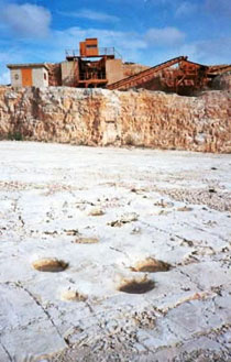 un'altra immagine della cava in localit� pontrelli. evidente, in primo piano, una pista di dinosauro
