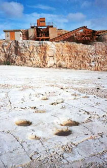 un'altra immagine della cava in localit� pontrelli. evidente, in primo piano, una pista di dinosauro