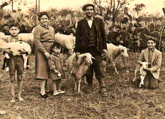 Il pastore