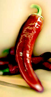 Peperoncino