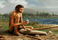 Homo erectus