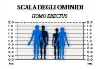 scala degli ominidi: l'Homo erectus