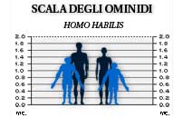 scala degli ominidi: l'Homo habilis