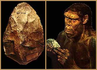 Amigdala e Homo erectus