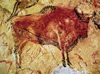 Dettaglio di pittura a parete presso le Grotte di Altamira, Spagna (12 000 a.C.)