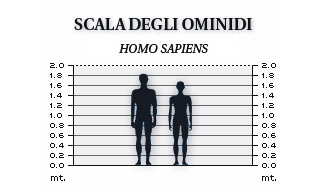 Scala degli ominidi: l'Homo sapiens