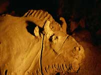 Dettaglio di bisonte modellato in argilla, ritrovato presso Le Tuc d'Audoubert (14.000 anni fa)