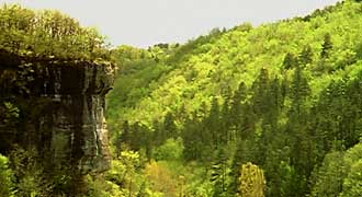 Vista della valle di Cro-Magnon in Dordogna (Francia)