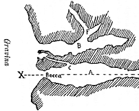 sezione della grotta