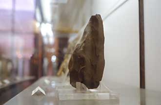bacheca del museo nazionale d. ridola